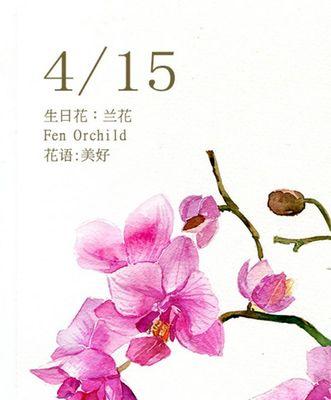 以百合花的花语为主题的奋斗之路（用百合花的花语诠释奋斗的力量与意义）