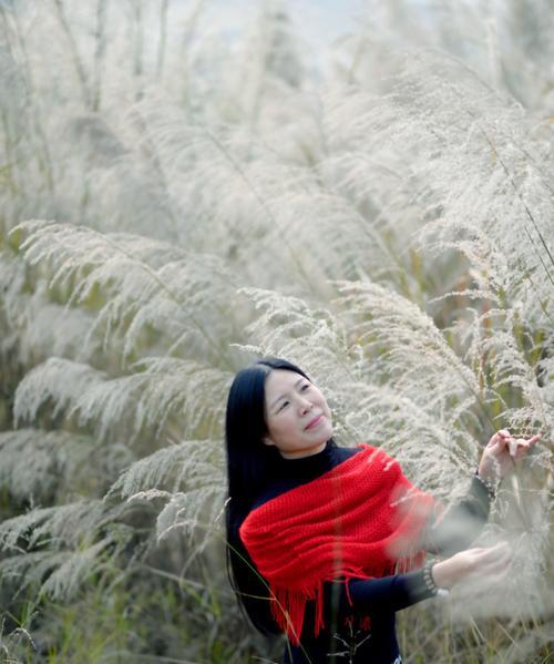 芦苇的花语与意义（探索芦苇的寓意及其在文化中的重要性）