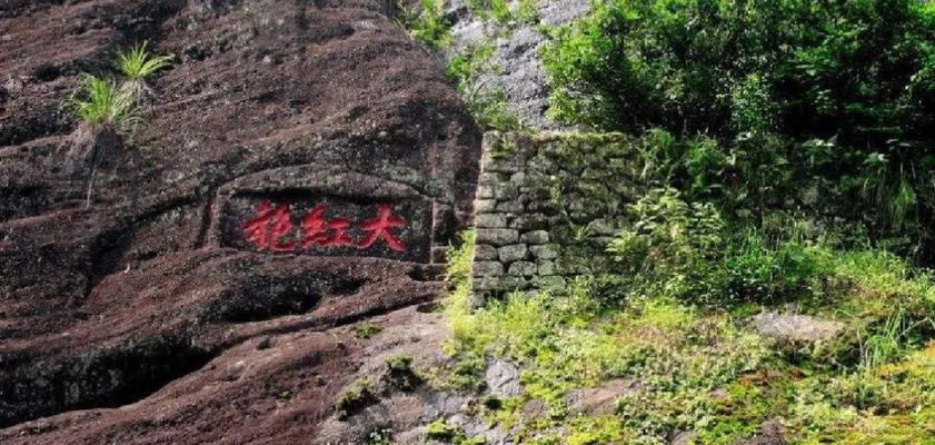 大红袍的故乡——武夷山（探寻大红袍的历史和传奇）