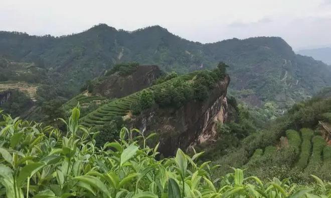 大红袍原产地——武夷山（探秘中国茶叶的故乡）