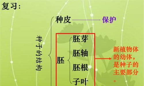 大米种子的生产过程（从稻谷到种子的完整过程）