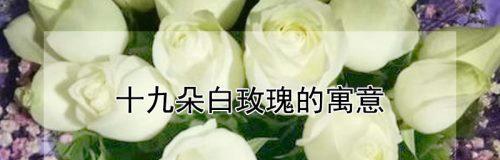 19朵玫瑰花的花语——爱的誓言（传递真挚情感的19朵玫瑰花）