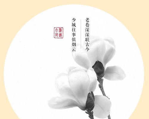 白玉兰花语（探索白玉兰花的内涵与意义）