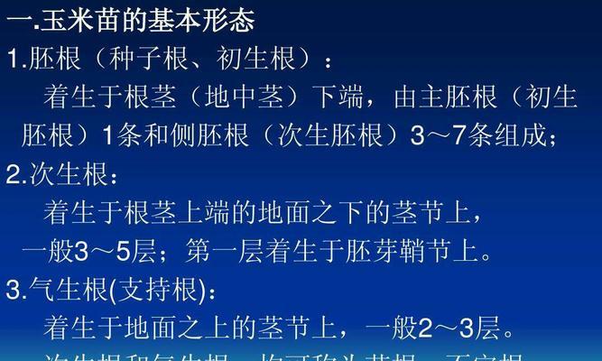 仙指兰叶子发软下垂怎么办（掌握这些方法）