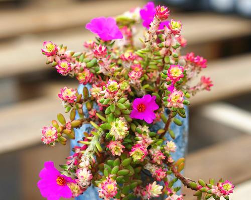 鲜花怎么保存时间长（让你的花束更加耐久）