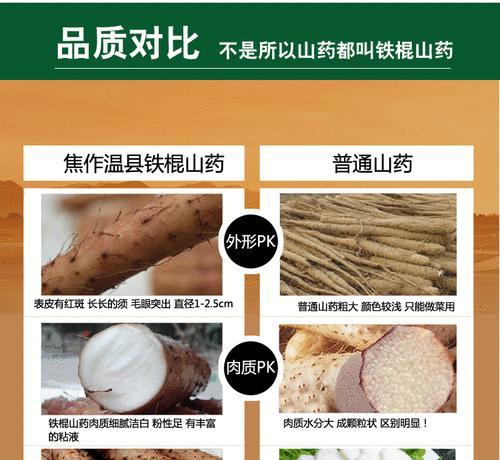 新鲜榛子的营养价值与食用方法（了解榛子）