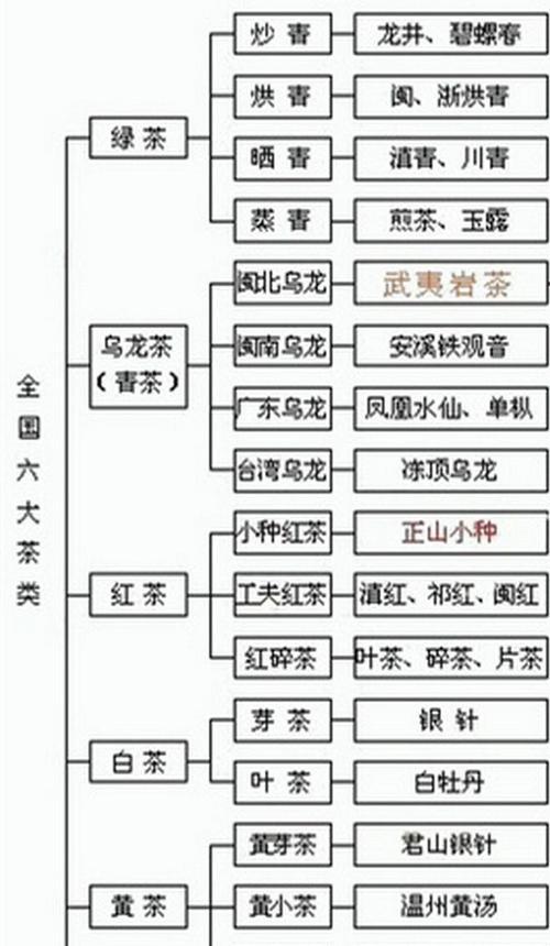 茶树生长周期的探究（从种子到采摘）