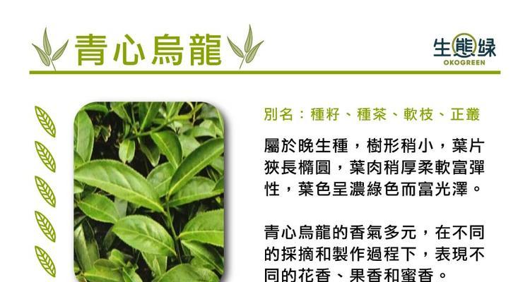 茶树的生长条件和特性（了解茶树的生长环境和习性）