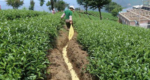 把厨余垃圾变成营养源，让花草更茂盛（把厨余垃圾变成营养源）