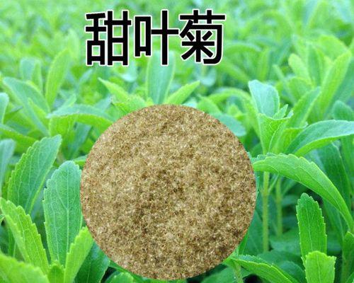 探秘茶叶种子的来历（茶叶产业中的重要组成部分及其形成过程）