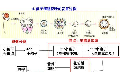 花菜的生长环境是什么？哪些地方条件最适合花菜生长？