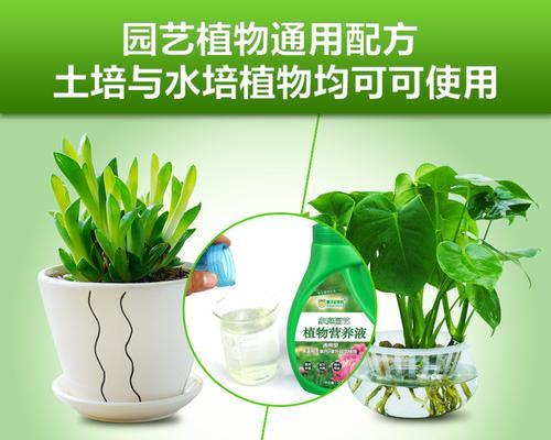 花草用什么肥料最好？如何根据植物类型选择合适的肥料？