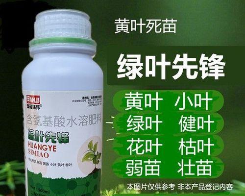 花卉用什么肥料好？如何根据植物类型选择合适的肥料？