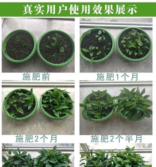 花卉用什么肥料好？如何根据植物类型选择合适的肥料？