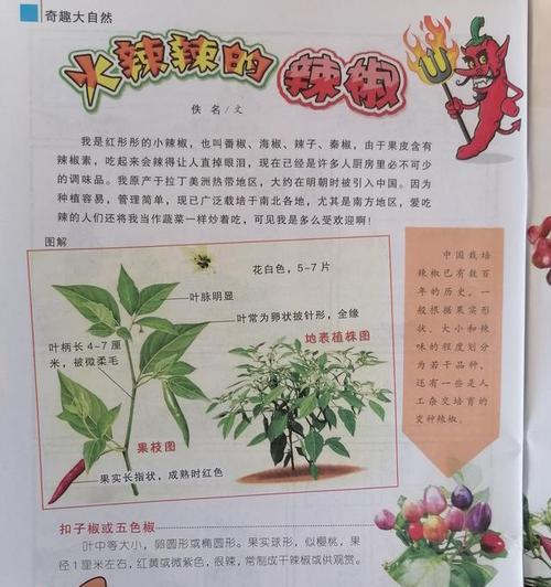 花椒树盆栽怎么种？种植与管理常见问题解答？