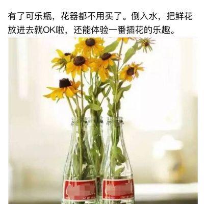 花可以浇可乐吗？可乐浇花真的好吗？