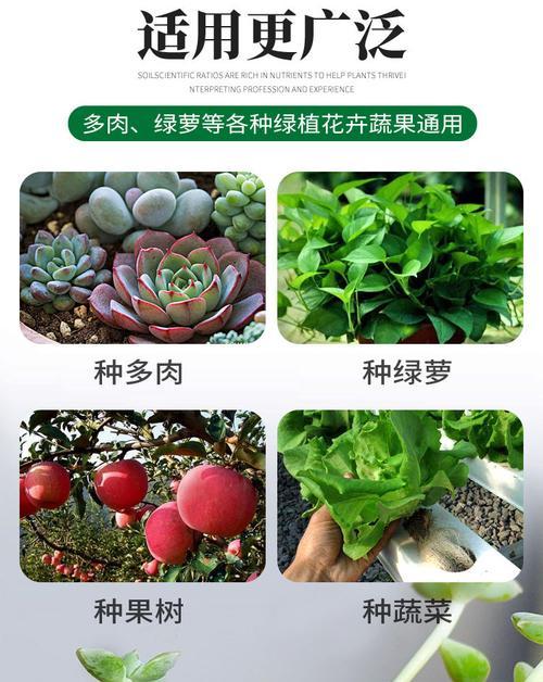 花泥可以种花吗？使用花泥种植花卉的正确方法是什么？