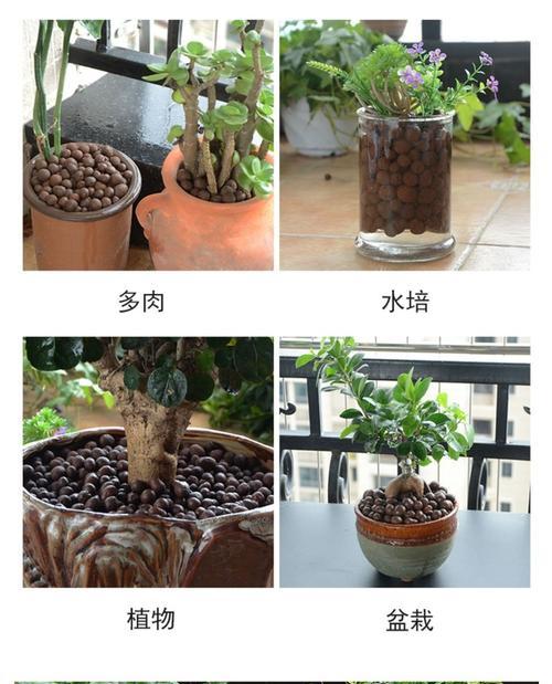 花泥可以种花吗？使用花泥种植花卉的正确方法是什么？