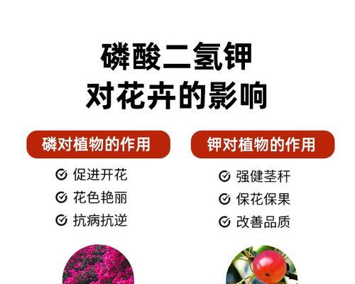 花卉叶面肥的选择有哪些？使用方法是什么？