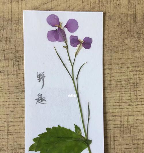 植物标本用什么书？如何制作和保存植物标本？