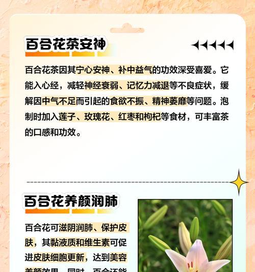 百合花的出现有何含义？它在文化中代表什么？