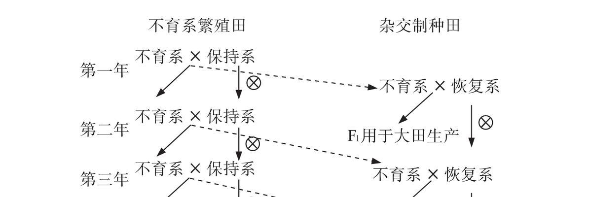 水稻单株繁殖的概念是什么？