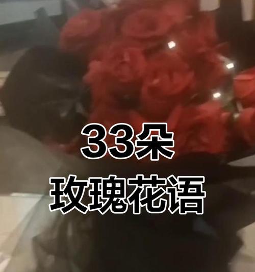 33朵玫瑰的花语是什么？它代表了什么？