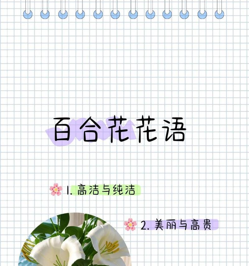 百合花的寓意是什么？不同颜色的百合花有何区别？