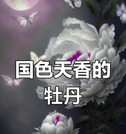 牡丹花的花语代表什么含义？