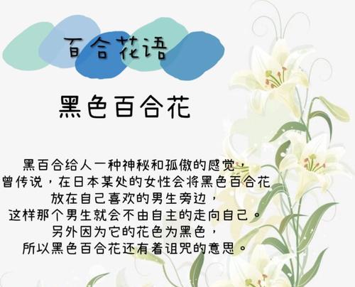 风水学中百合代表什么？百合在风水中的寓意是什么？