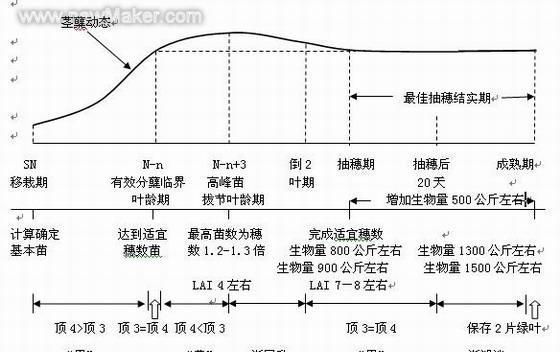 水稻机卸粮的原理是什么？这个过程是如何进行的？