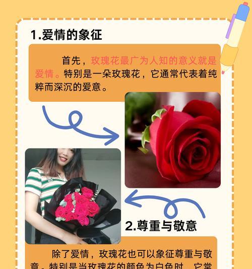 女生递玫瑰花代表了什么？它在情感表达中有何含义？