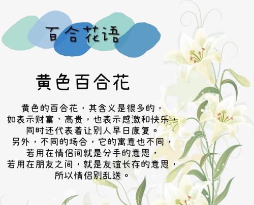 百合花通常象征着什么？