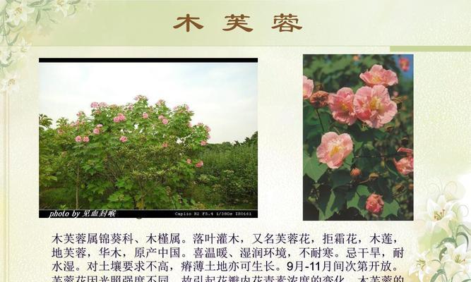 沙县湿地花圃植物种类介绍？